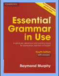 Essential grammar in use
